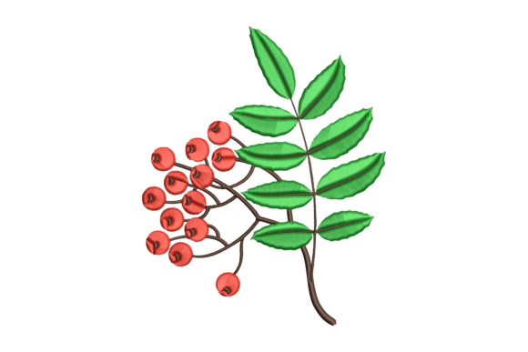 Plant Embroidery Design: A Designer’s Practical Review